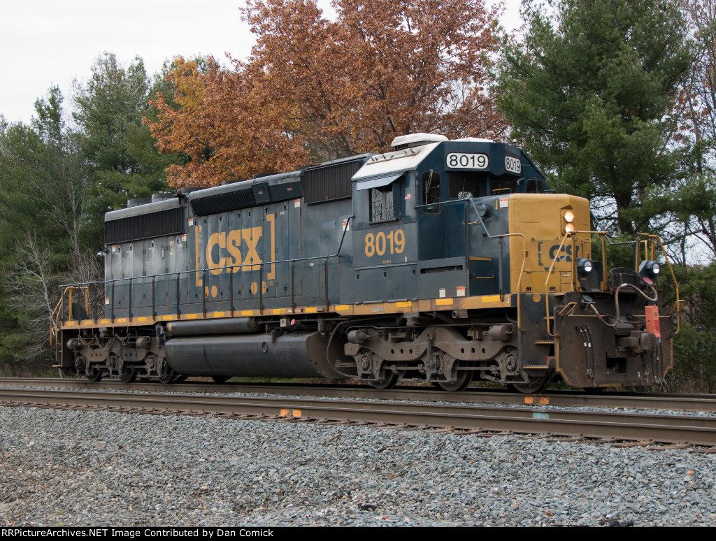 CSX 8019